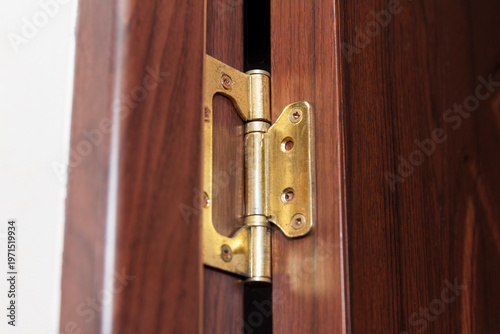 Close-up of a brass door hinge attached to a wooden door