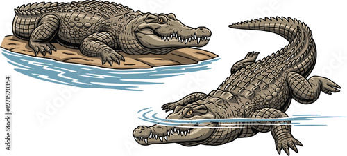 Crocodile Vector Set Featuring Reptiles Swimming and Resting in Water for Wildlife and Nature Illustrations