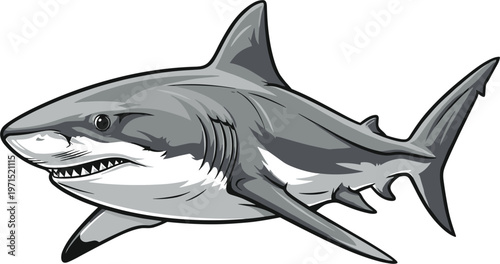 Shark Vector Illustration Swimming in Ocean for Marine Life, Predatory Fish, and Ocean Design