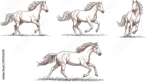 White Horses Galloping and Running in Various Poses, Horse Illustration Set