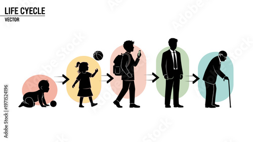 Vector illustration of human life stages from baby to elderly with colorful circles on white background.