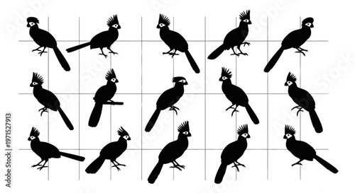 Black cockatoo silhouettes arranged in grid pattern on white background for design use