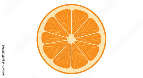 Fresh Orange Fruit Slice Closeup.