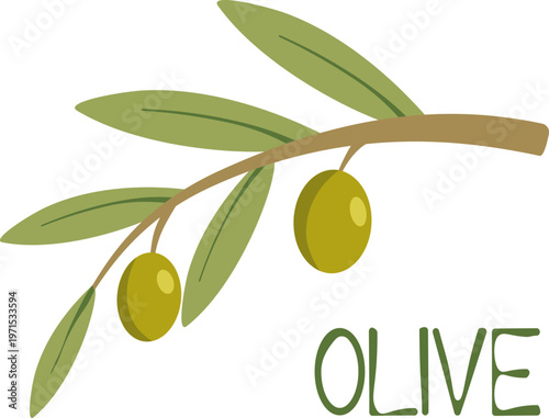 Small olive branch with two green olives and leaves. Minimalist mediterranean botanical element with text isolated on white.
