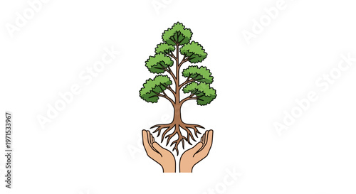 Hands Holding Small Green Tree Sapling.