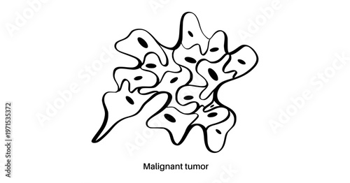 Cells structure sketch