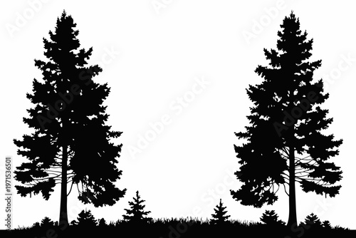 Silhouetted evergreen trees against a bright white background