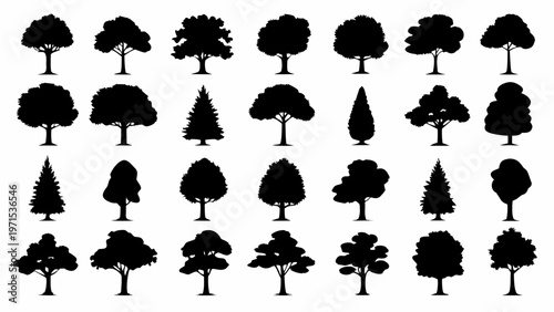 Collection of diverse tree silhouettes against a plain white background