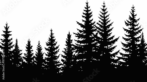 Silhouetted evergreen trees against a stark white background