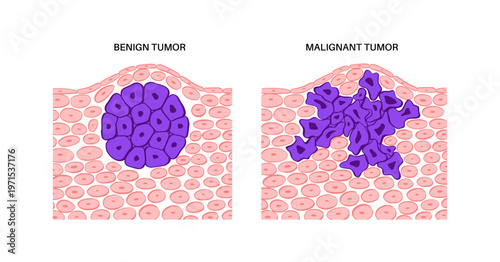 Cells structure sketch