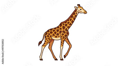 Giraffe Walking Side View Profile.