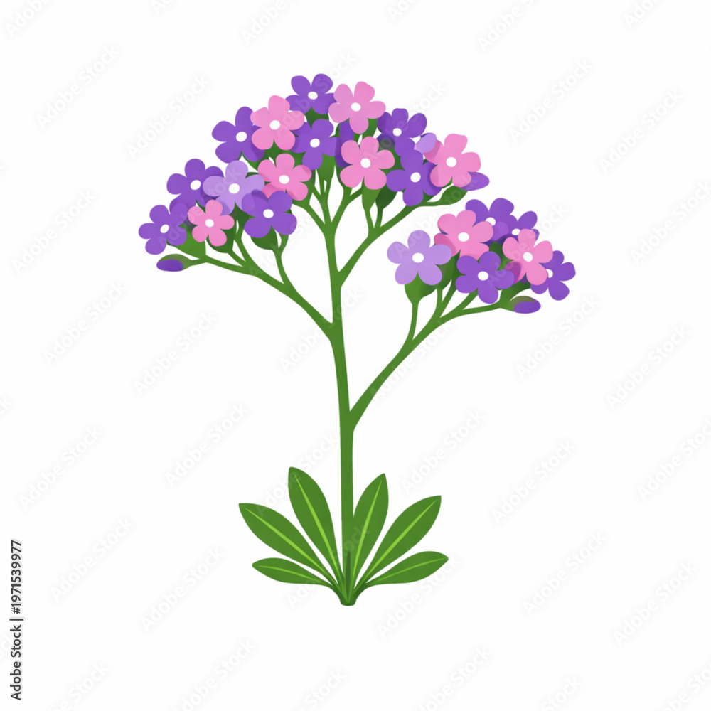 Obraz premium Purple wildflower cluster soft botanical vector illustration