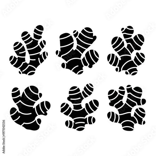 Black Ginger Root Silhouettes - Organic Spice Ingredient