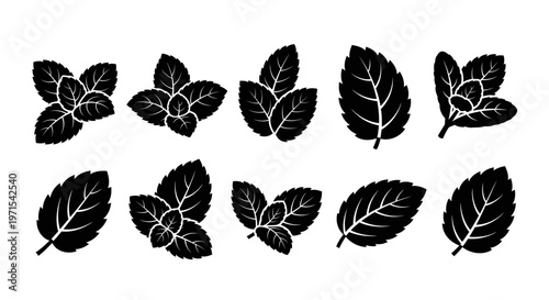 Black Mint Leaves Silhouette Collection - Fresh Herb Icons