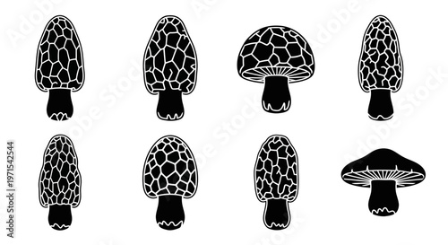 Black Morel Mushroom Icons Set, Edible Fungi Vector Illustrations