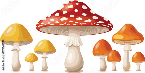 Vector Illustration of Various Colorful Mushrooms with Red, Yellow, and Orange Caps on White Background
