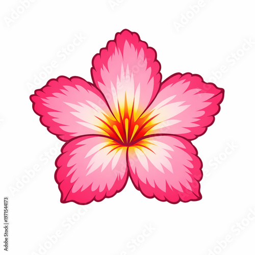 Pink plumeria frangipani flower tropical floral vector design