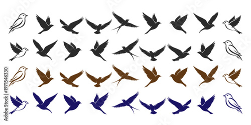 Bird silhouette set vector