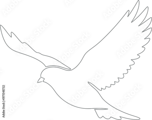 Elegant single continuous line art drawing of a peaceful bird in graceful flight, beautifully symbolizing freedom, peace, and tranquility in minimalist artistic style.