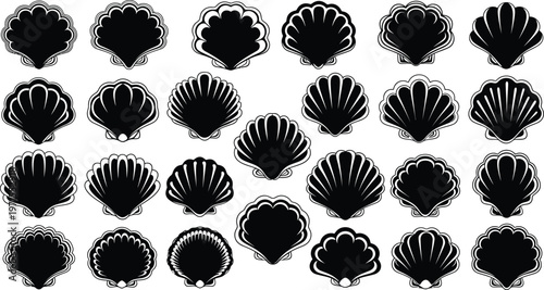 Collection of black and white seashell illustrations in a grid pattern