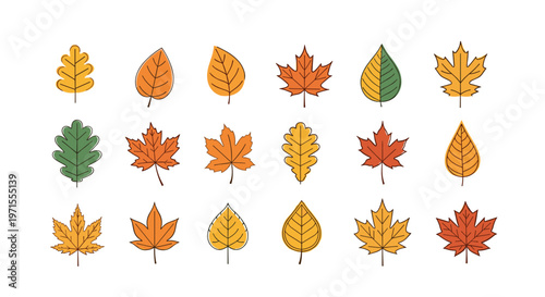 Diverse set of autumn leaf illustrations in various shapes and colors including shades of orange, yellow, and green.