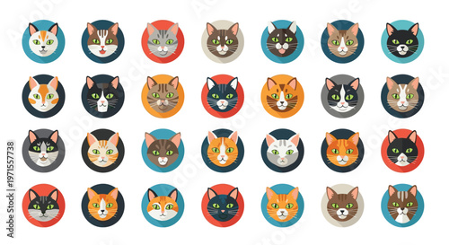 Grid of various cat breed icons presented as cute circular portraits with different fur colors and patterns on colorful round backgrounds.