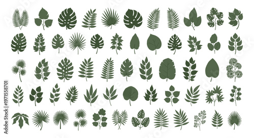 Diverse collection of green leaf silhouettes including monstera, palm, and fern species isolated on a clean white background for design.