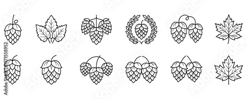 Hops and leaves illustrations for brewery branding and beer packaging design