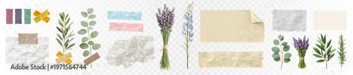 Collection of botanical scrapbook collage elements with lavender bouquets, eucalyptus branches, olive leaves, rosemary sprigs, torn paper notes, masking tape strips and crumpled paper textures. Vector