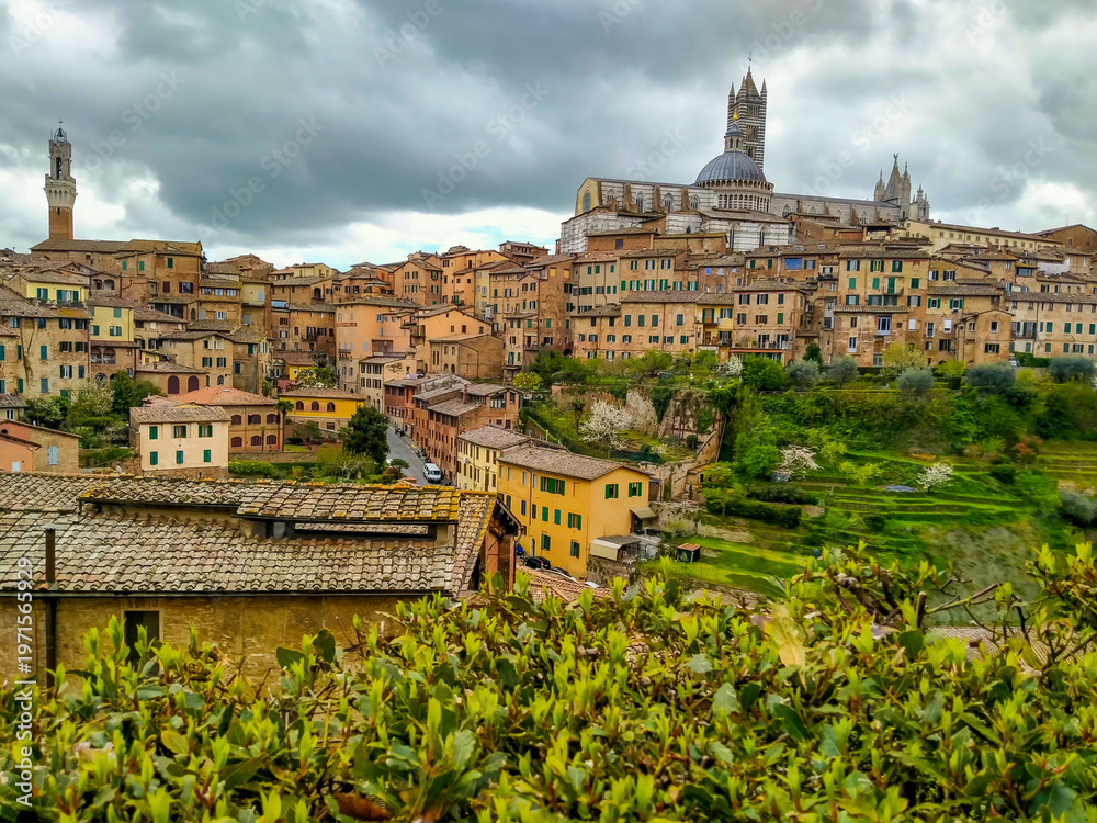 Fototapeta premium Historic center of the city of Siena in Italy with main attraction of Siena Cathedral (Duomo di Siena)