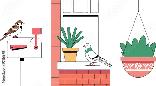 Outdoor garden scene illustration with sparrow on mailbox and pigeon sitting on windowsill with plant pot.