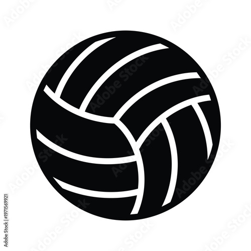 Classic black and white volleyball with distinctive panel design