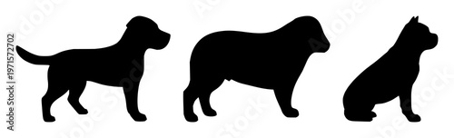 Pet friendly icon set with solid black icon on white background featuring pet friendly, icon, white background with black and white and vector graphic