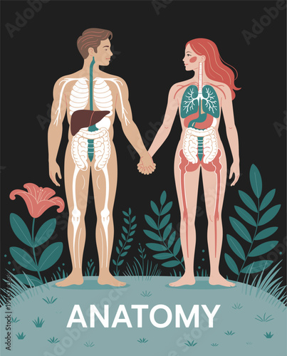 Anatomy of human male and female bodies showing internal organs and skeleton.