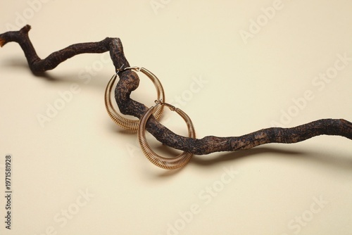Konstfotografi Gold hoop earrings on an asymmetrical stand on a beige background