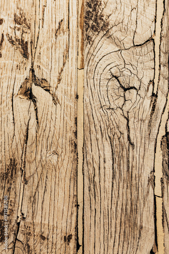 Natural wood texture with detailed grain pattern background
