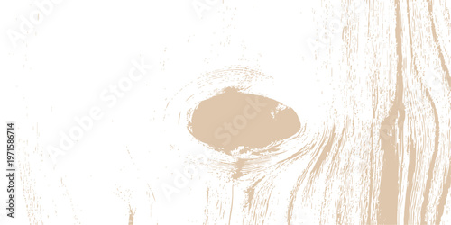 Natural wood grain texture background with organic timber knot, abstract brown and white rustic wooden surface pattern
