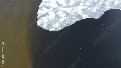 Ice and water meet in a large lake with wildlife in clear view from above