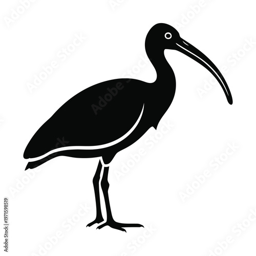 Black silhouette of an ibis bird with a long, curved beak, standing on a white background, depicted in a simple graphic style.