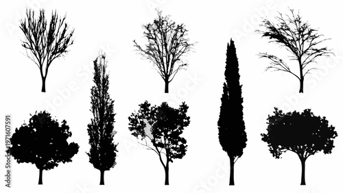 Collection of silhouetted trees and shrubs against a white background