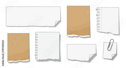 Collection of stationery items including paper clips and torn edges