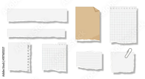 Collection of torn and blank paper pieces with a single paperclip
