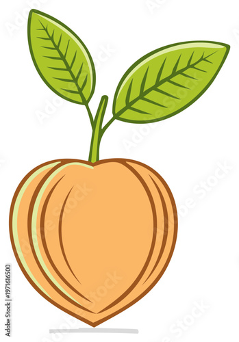 Stylized peach with green leaves growing from stem, representing growth and healthy food