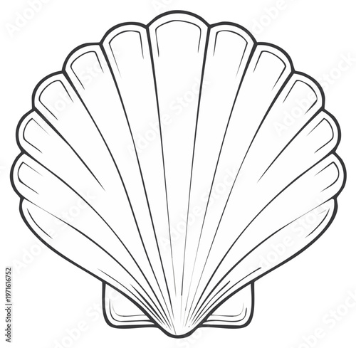 Seashell outline art Scallop shell line drawing Ocean treasure marine life emblem