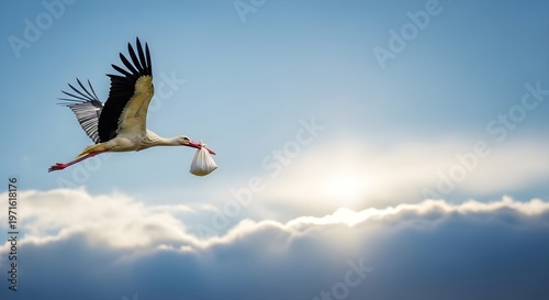 stork in the sky holding baby