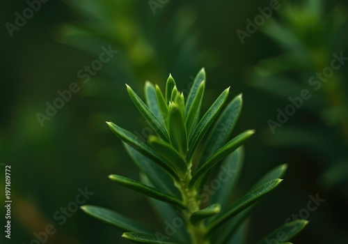 Close-up view of vibrant green foliage in sharp focus against a beautifully blurred background emphasizing photographic depth and bokeh, natural light, effect, bokeh