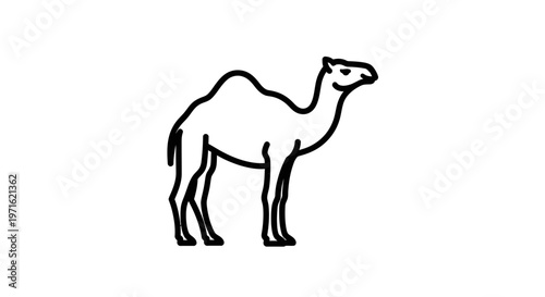 Simple Desert Camel Outline Illustration on Isolated White Background
