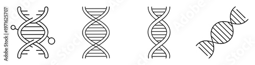Four illustrations of DNA double helix structures on a white background