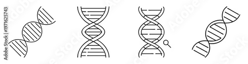 Four DNA structures displayed as simple black and white line illustrations