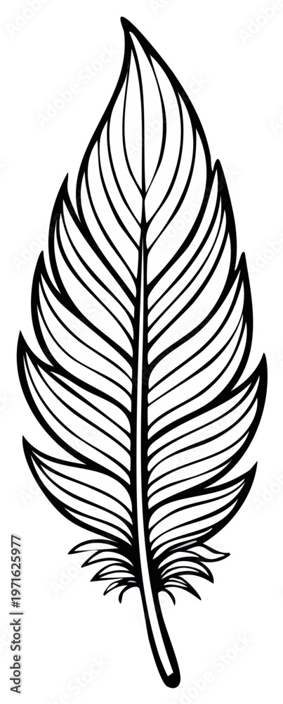 Fototapeta premium Detailed Feather Illustration with Intricate Line Work Showcasing Plume Symmetry and Elegant Design for Crafts and Decorations